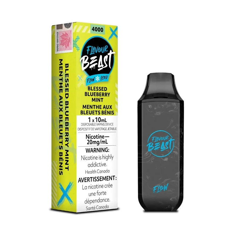 Flavour Beast Blessed Blueberry Mint Iced 4000